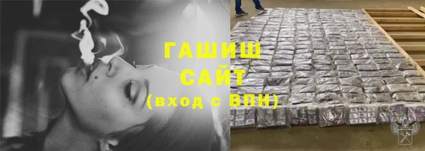 ПСИЛОЦИБИНОВЫЕ ГРИБЫ Горно-Алтайск