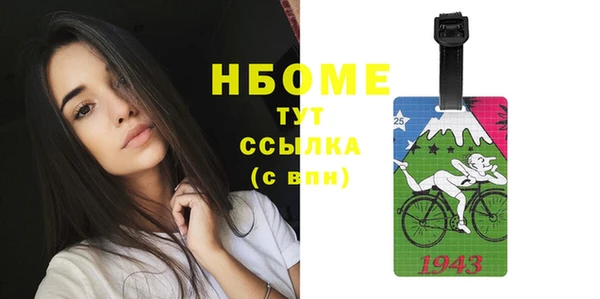 соль ск Богородск