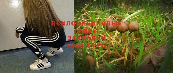 мяу мяу мука Балахна