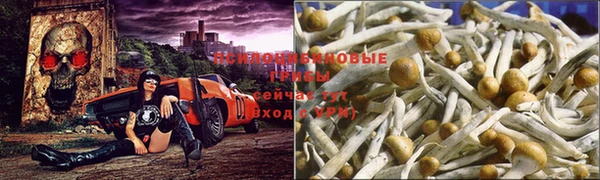 кокаин Богданович
