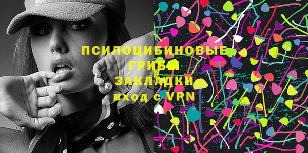 соль ск Богородск