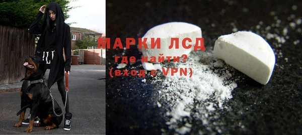 индика Заволжье