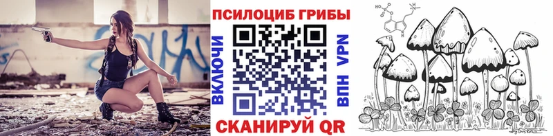 KRAKEN вход Купино Псилоцибиновые грибы прущие грибы где найти наркотики